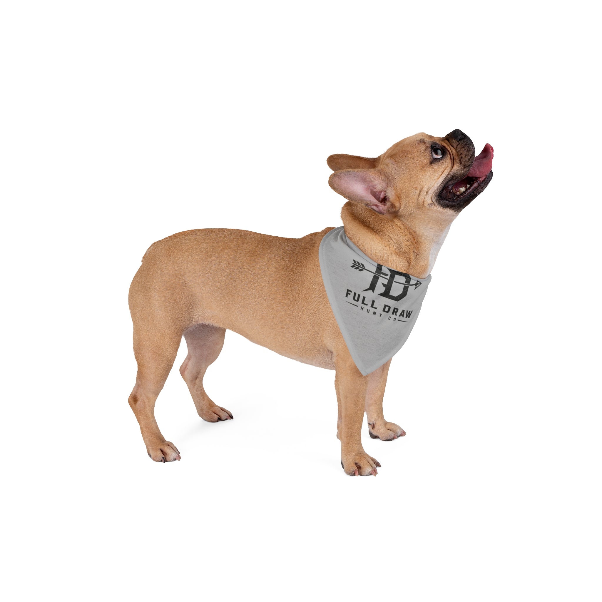 Full Draw Pet Bandana — Rustic Hunting Arrow Logo for Dogs & Cats